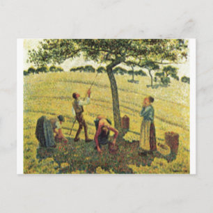 Camille Pissarro - Apple Harvest Eragny 1888 Oil Postkarte