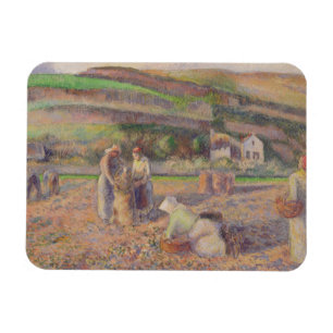 Camille Pissarro die Kartoffel-Ernte Magnet