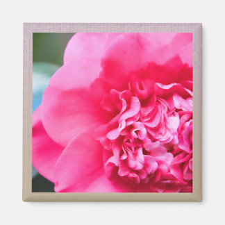 Camillia Artistic Pink Blume Magnet