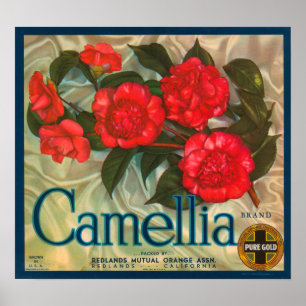 Camillia Brand Orangen Klassisches Fruchtkorb-Labe Poster