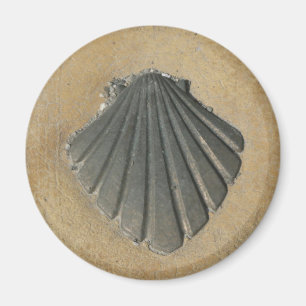 Camino De Santiago Magnet