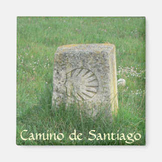 Camino de Santiago Magnet