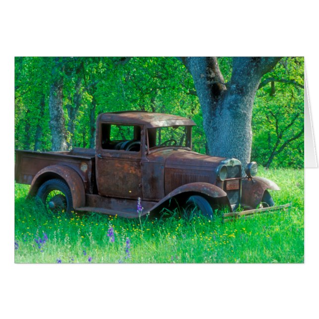 Camion antique rouillé dans un pré (Devant horizontal)