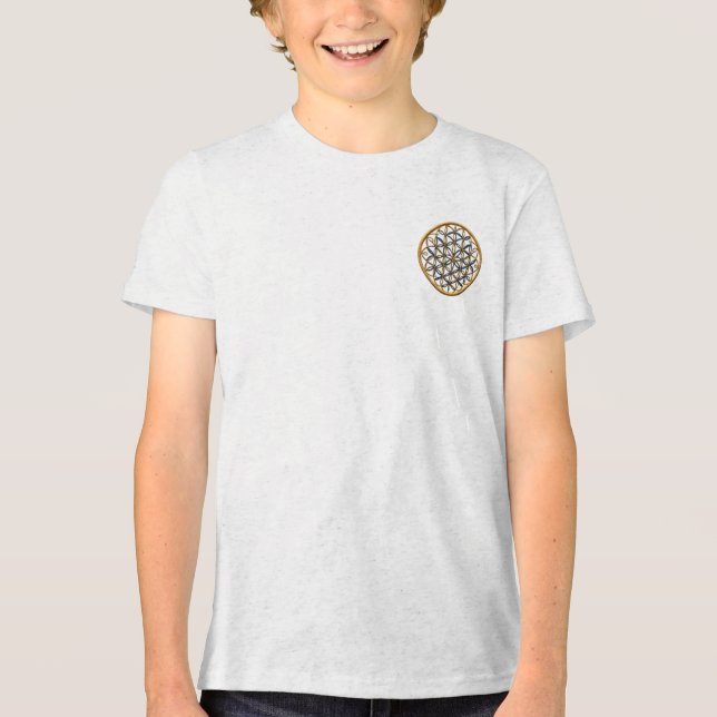 Camiseta Masculina Juvenil Básica Flôr da Vida-13 Tri-Blend Shirt (Vorderseite)