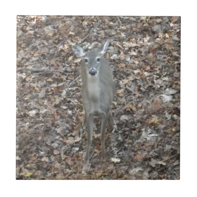 Camouflage Deer in Herbstlauben Fliese (Vorderseite)