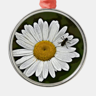 Camouflage-Gänseblümchen Silbernes Ornament