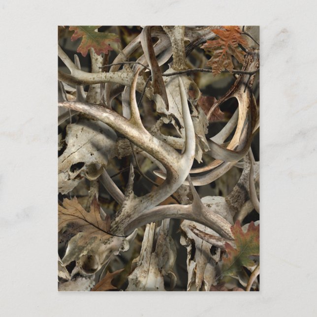 Camouflage Hirschschädel Postkarte (Vorderseite)