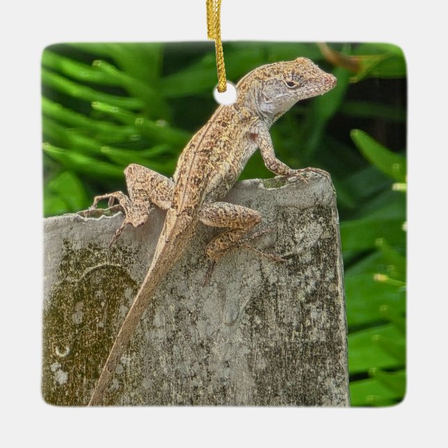 Camouflage Master Keramikornament (Vorderseite)