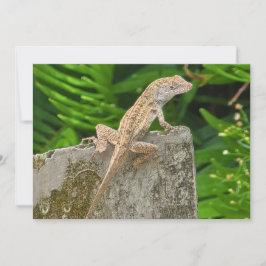 Camouflage Master Mitteilungskarte