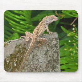 Camouflage Master Mousepad