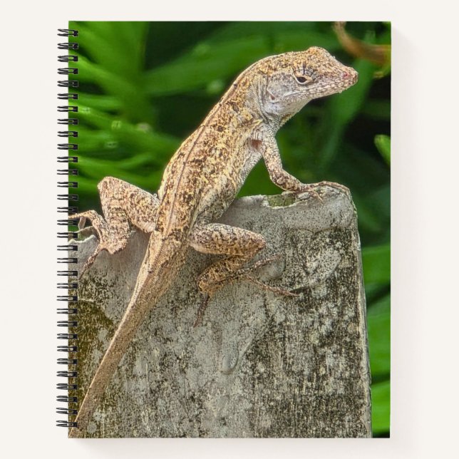 Camouflage Master Notizbuch (Vorderseite)