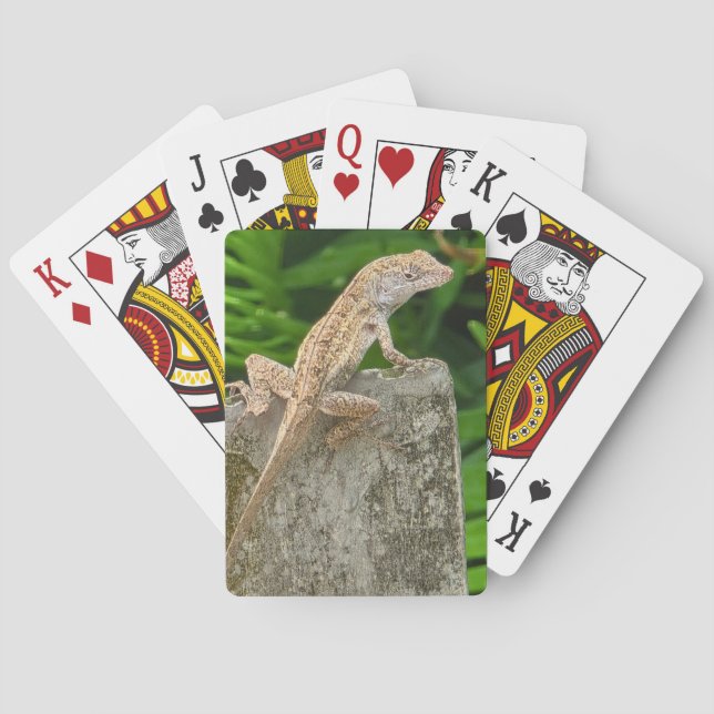 Camouflage Master Spielkarten (Rückseite)