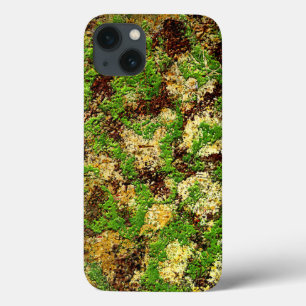 Camouflage Moss rostgealterter Grunge Alte Textur title_seo2