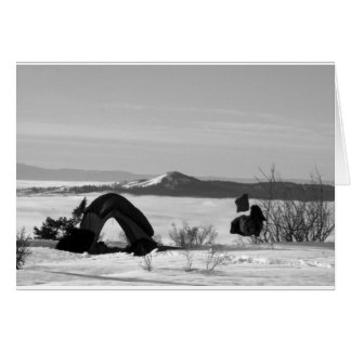 CAMP D'HIVER : Au-dessus des nuages