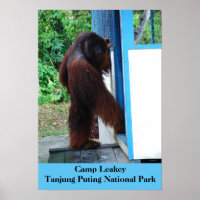 Camp Leakey Tanjung Putting Nationalpark Borneo