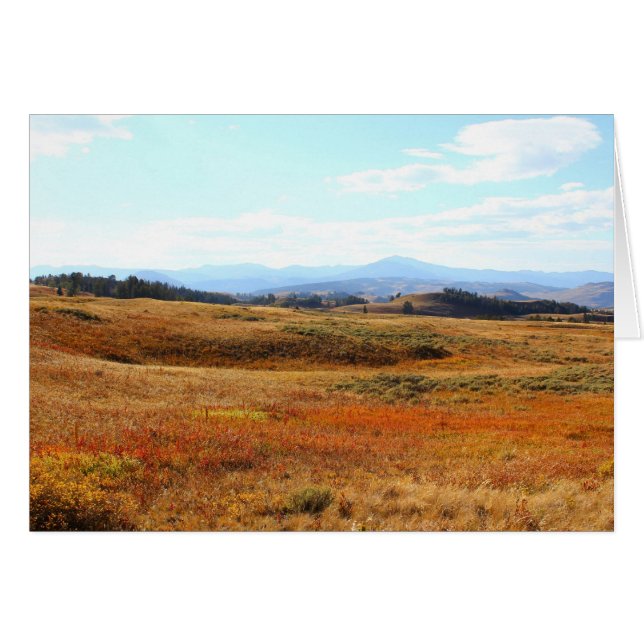 Campagne auburn de Yellowstone (Devant horizontal)