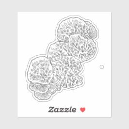 Campamalia-Pilzsticker Aufkleber