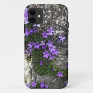 Campanula-Blume wachsen auf einer Mauer Case-Mate iPhone Hülle