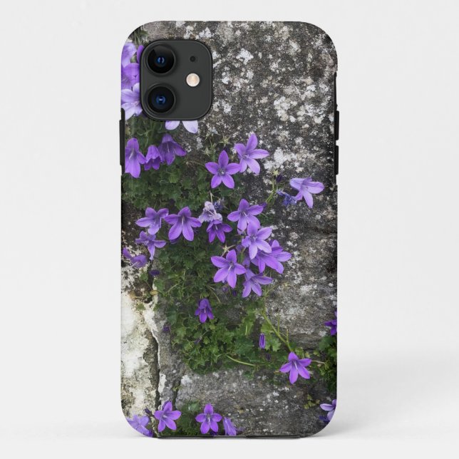 Campanula-Blume wachsen auf einer Mauer Case-Mate iPhone Hülle (Rückseite)