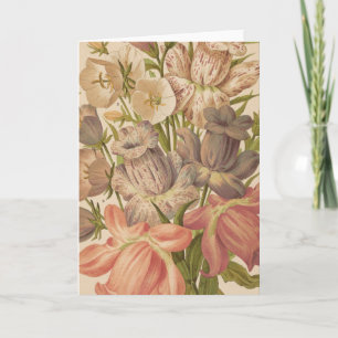 Campanula   George Nicholson Karte