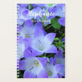 Campanula Lila weiße Blumen Fotografie Planer