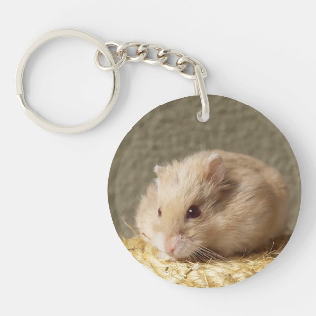 Campbells Zwarf Russischer Hamster, Argente Schlüsselanhänger (Vorderseite)