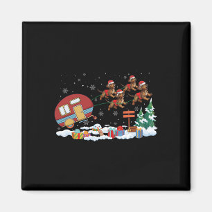 Camper Van Dackel Dog Sleigh Weihnachtsmannmütze C Magnet