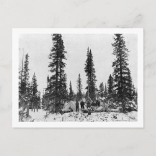 Camping nördlich des Polarkreises Postkarte