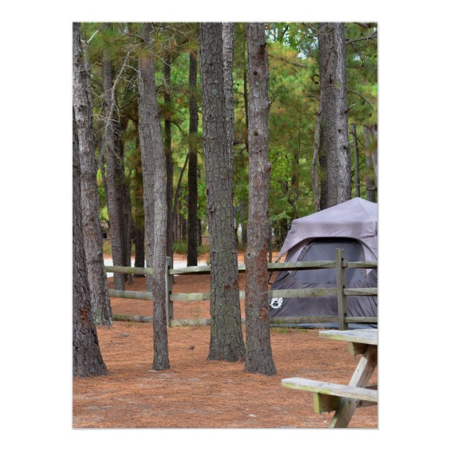Campingplatz mit Zelt und Zaun im Wald Poster (Vorderseite)