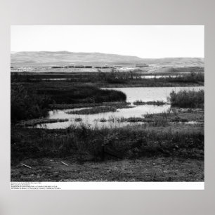 Campus from across Wildlife Pool, Irvine, 1967 Poster