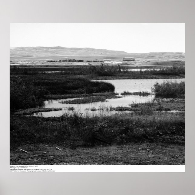 Campus from across Wildlife Pool, Irvine, 1967 Poster (Vorne)