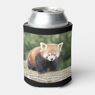 Can Cooler Foto roten Panda , Tiere 0001. Dosenkühler
