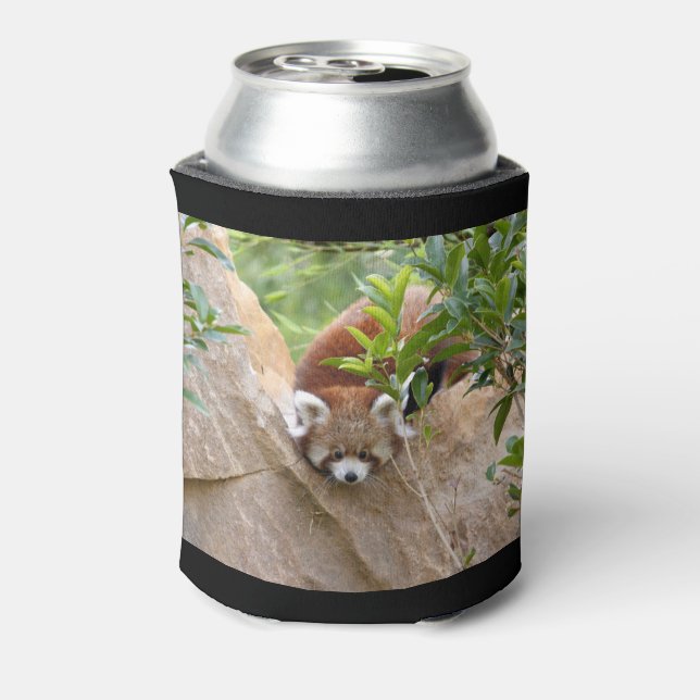 Can Cooler Foto roten Panda , Tiere 0069. Dosenkühler (Kanne Rückseite)