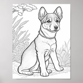 Canaan Dog Aduloring Poster
