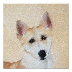 Canaan Dog Malerei - Niedliche Original Hunde Kuns Poster