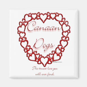 Canaan Dog True Love Magnet