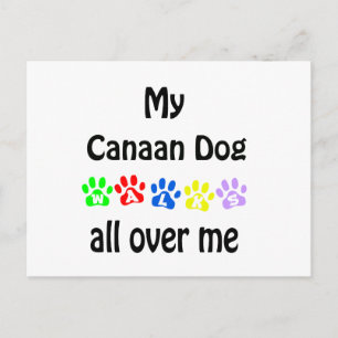 Canaan Dog Walks Design Postkarte