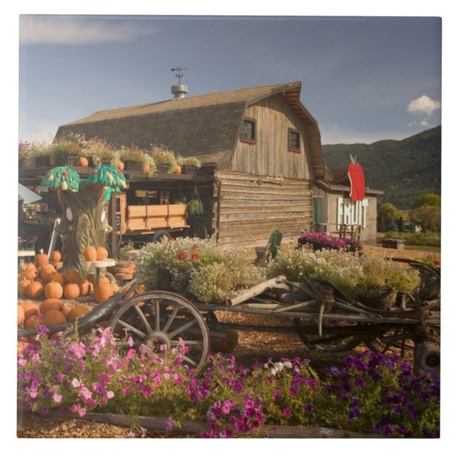 CANADA, British Columbia, Enderby. Logbuch Fliese (Vorderseite)