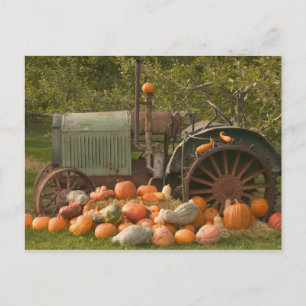 CANADA, British Columbia, Keremeos. Herbst / 2 Postkarte