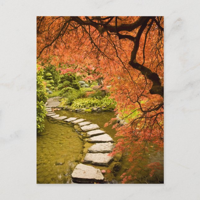 CANADA, British Columbia, Victoria. Herbst Postkarte (Vorderseite)