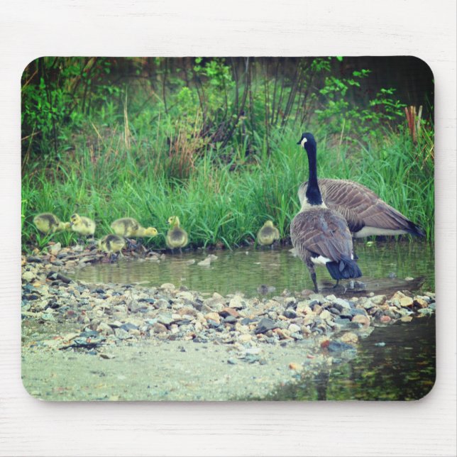Canada Gans Family Babies Nature Mousepad (Vorne)
