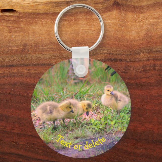 Canada Gänse Babies Natur Personalisiert Schlüsselanhänger (Vorderseite)