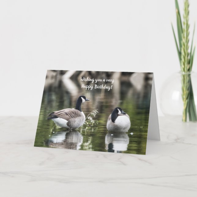 Canada Gänse Birthday Card Karte (Vorderseite)