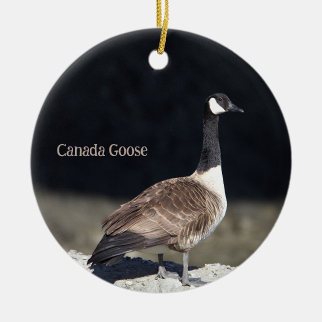 Canada Gänse Foto Ornament (Vorne)