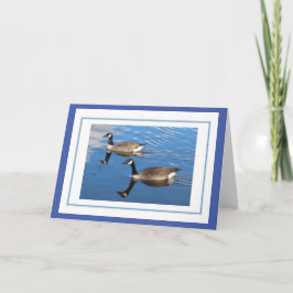 Canada Gänse Greetings Card Karte