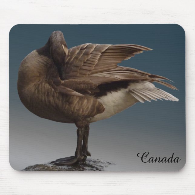 Canada Gänse Mousepad Gold Canada Gänse Mouse Pads (Vorne)
