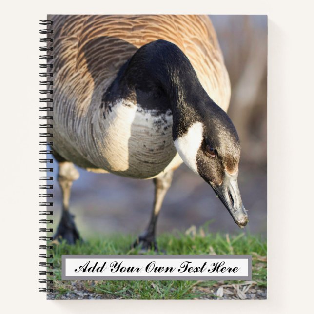 Canada Goos Notizbuch (Vorderseite)