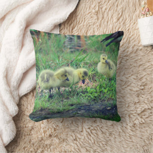 Canada Goose Babies Wildlife Kissen