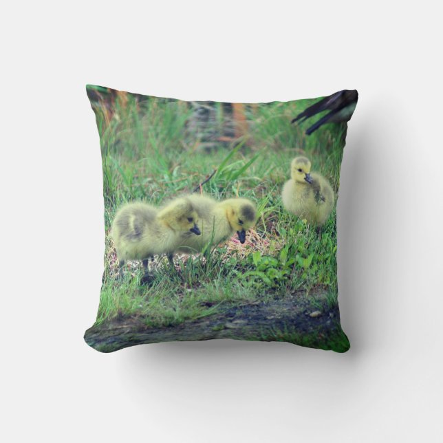 Canada Goose Babies Wildlife Kissen (Vorderseite)