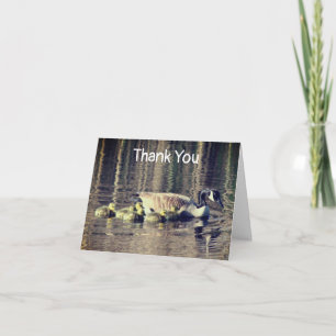 Canada Goose Baby Carte de remerciements naturel